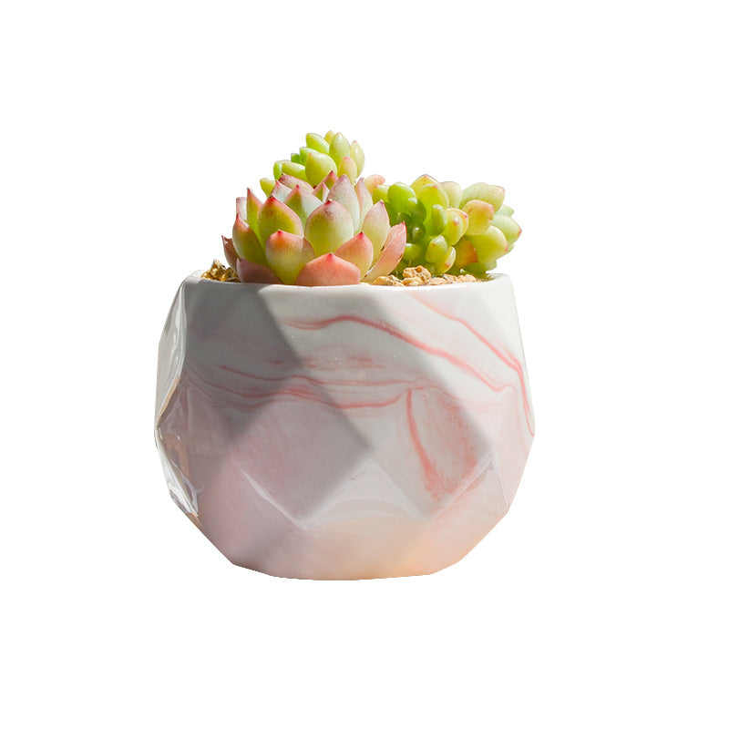 Pink Marble White Porcelain With Succulent Flower Pot